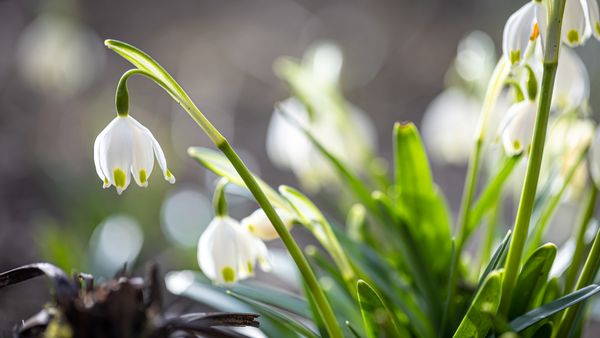 Vremea se răcește din nou în România! Prognoza meteo pentru următoarele săptămâni