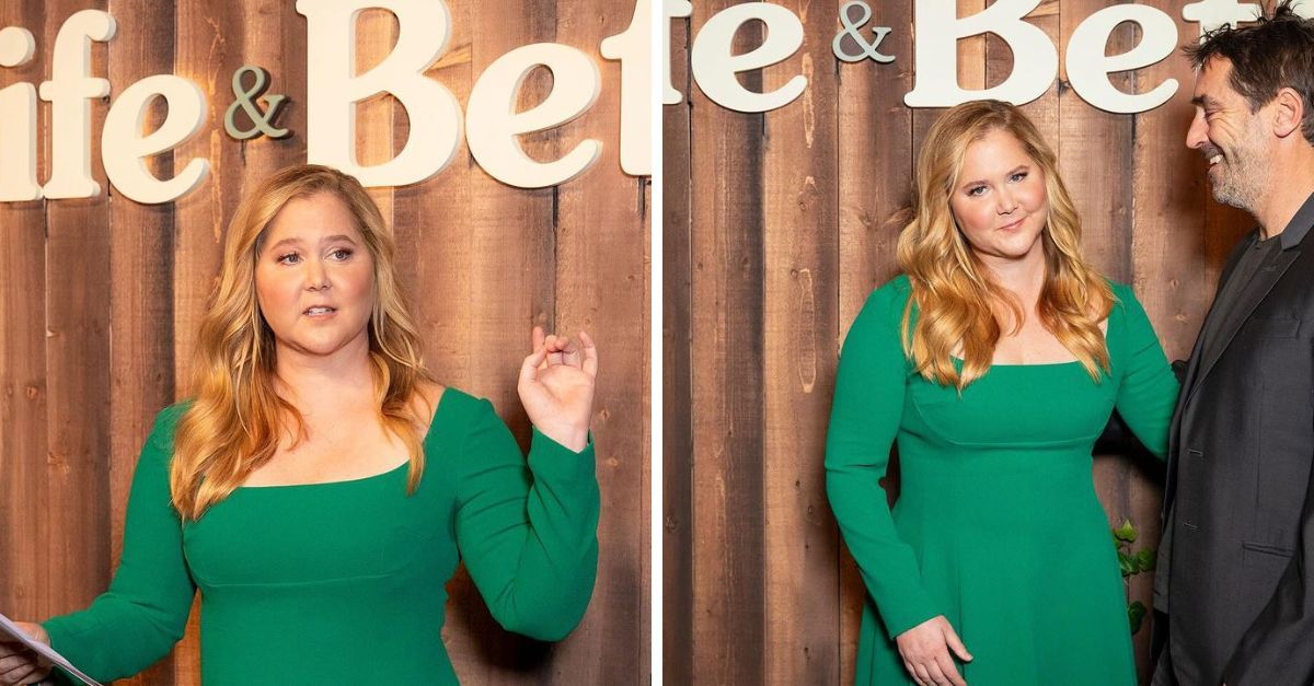 Amy Schumer critici aduse 