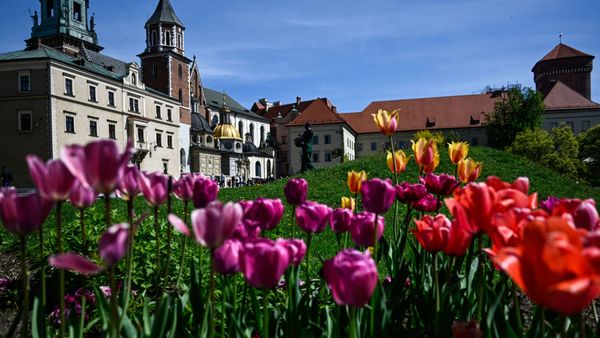 Vreme neobișnuit de caldă până aproape de sfârşitul lunii martie 2024! Prognoza meteo pentru următoarele săptămâni