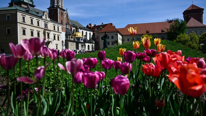 Vreme neobișnuit de caldă p&acirc;nă aproape de sf&acirc;rşitul lunii martie 2024! Prognoza meteo pentru următoarele săptăm&acirc;ni