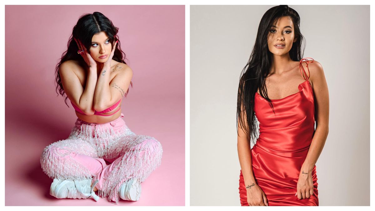 Erika Isac Femei in Parlament