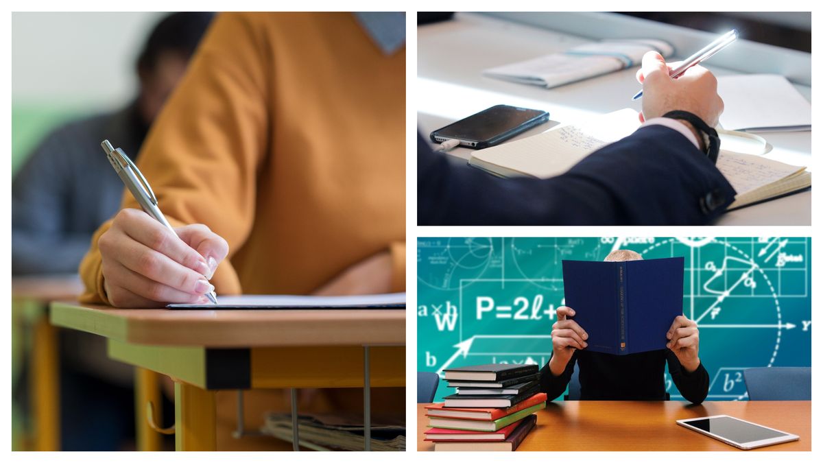 simularea examenului de bacalaureat 2024