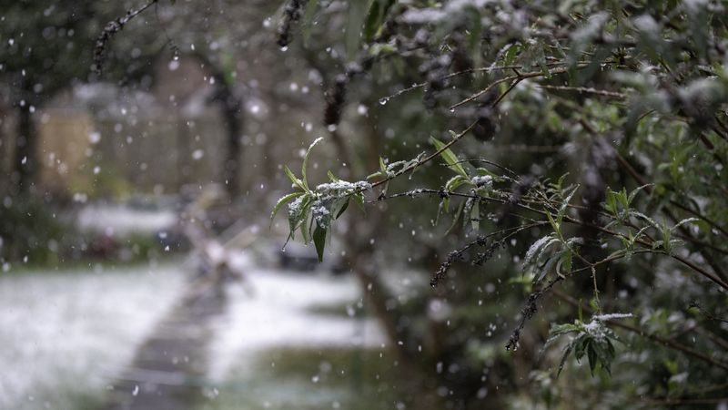 Se &icirc;ntoarce iarna! Atenționare meteo de ploi și ninsori