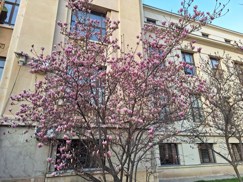 Locurile în care poți să faci cele mai frumoase poze pentru Instagram