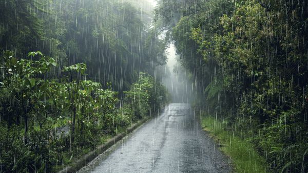 Vremea se răcește &icirc;n Rom&acirc;nia! Meteorologii anunță ploi și ninsori &icirc;n toată țara