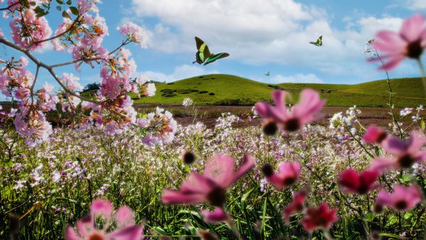 Echinocțiul de primăvară 2024 are loc azi, pe 20 martie. Tot ce trebuie să știi despre această zi