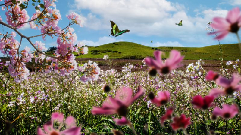Echinocțiul de primăvară 2024 are loc azi, pe 20 martie. Tot ce trebuie să știi despre această zi