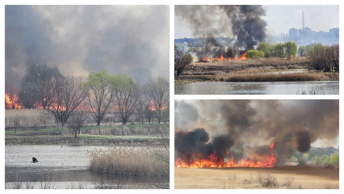 Arde Delta Văcărești 