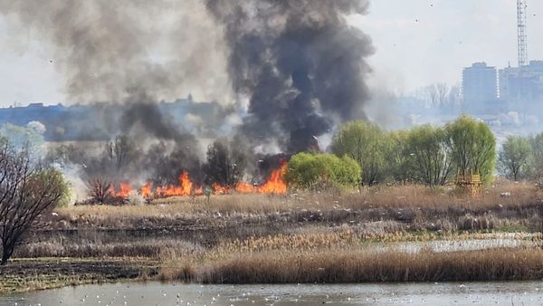 Update: Incendiu la Delta Văcărești, din București: 10.000 de metri pătrați, distruși de flăcări