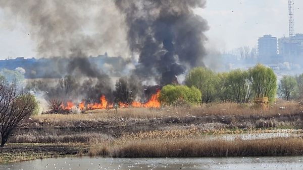 Update: Incendiu la Delta Văcărești, din București: 10.000 de metri pătrați, distruși de flăcări
