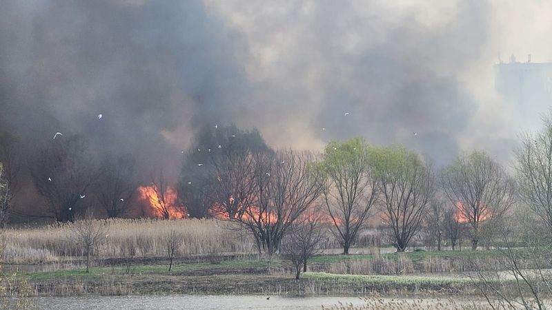 Incendiu la Delta Văcărești