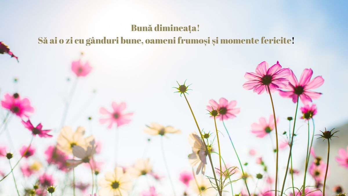 Mesaje frumoase de Bună Dimineața pe care să le transmiți prietenilor tăi