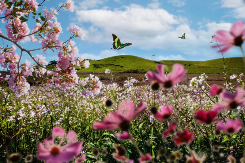 Mesaje pentru cei dragi de Bună Dimineața