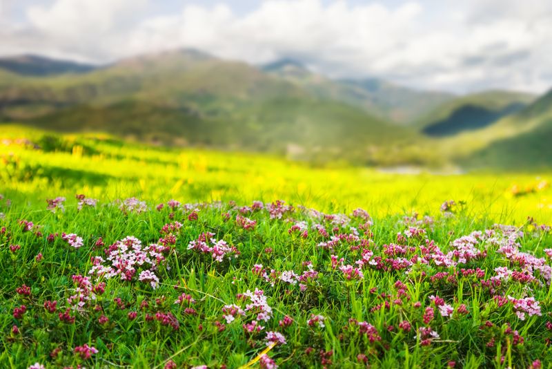 Iată cele mai frumoase mesaje de Bună Dimineața 