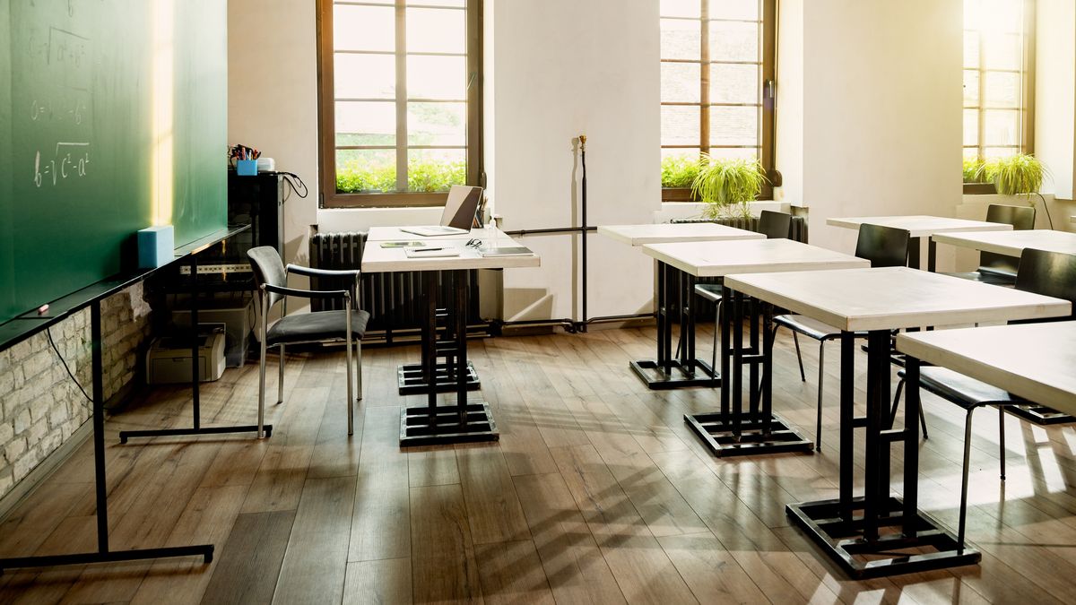 Şcolile din Sectorul 5 al Capitalei vor fi &icirc;nchise din cauza ploșnițelor