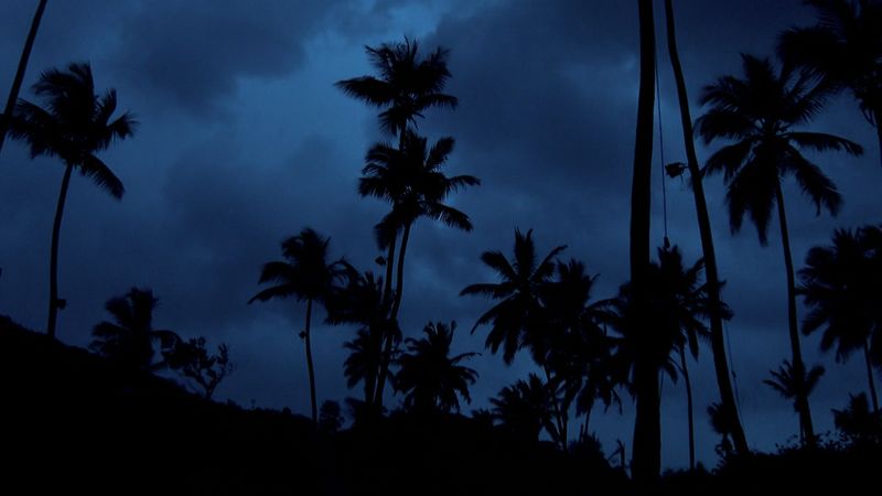 O noapte furtunoasă, sâmbătă, la „Insula de 1 milion”