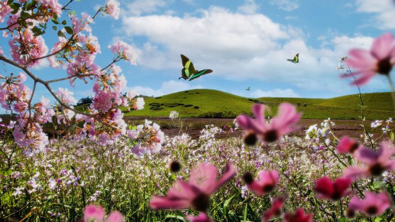  Cum e vremea în România și care sunt previziunile ANM pentru astăzi