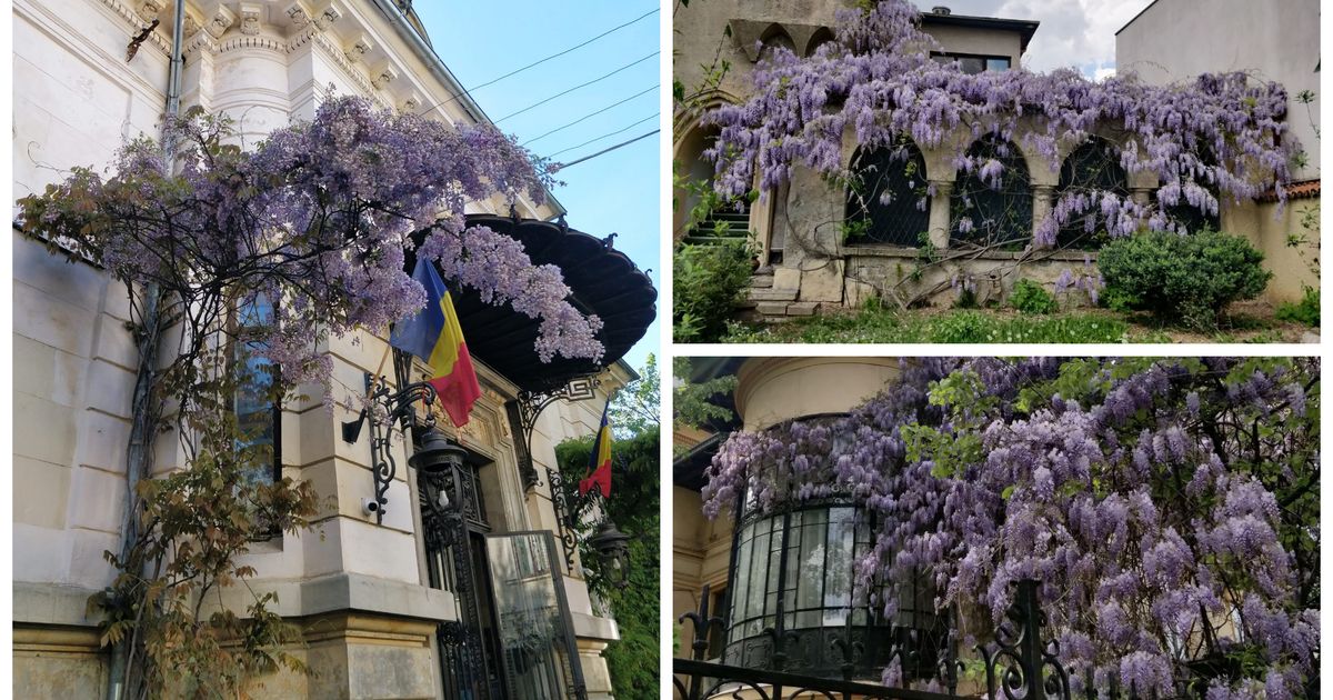 Cele mai frumoase locuri din București pentru poze de Instagram