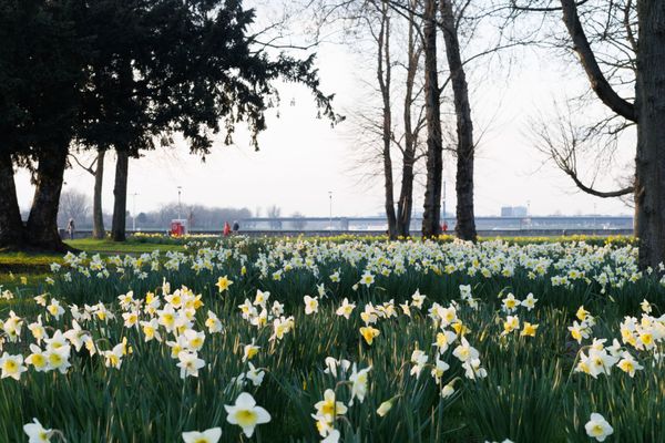 Vreme de vară &icirc;n aprilie 2024: Temperaturi fără precedent &icirc;n &icirc;ntreaga țară. Vom avea, totuși, și ploi. Prognoza meteo ANM