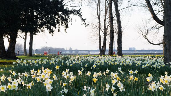 Vreme de vară în aprilie 2024: Temperaturi fără precedent în întreaga țară. Vom avea, totuși, și ploi. Prognoza meteo ANM