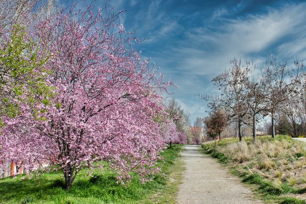 Accuweather anunță cum va fi vremea &icirc;n Rom&acirc;nia &icirc;n perioada 1-15 aprilie 2024: Meteorologii fac precizări importante
