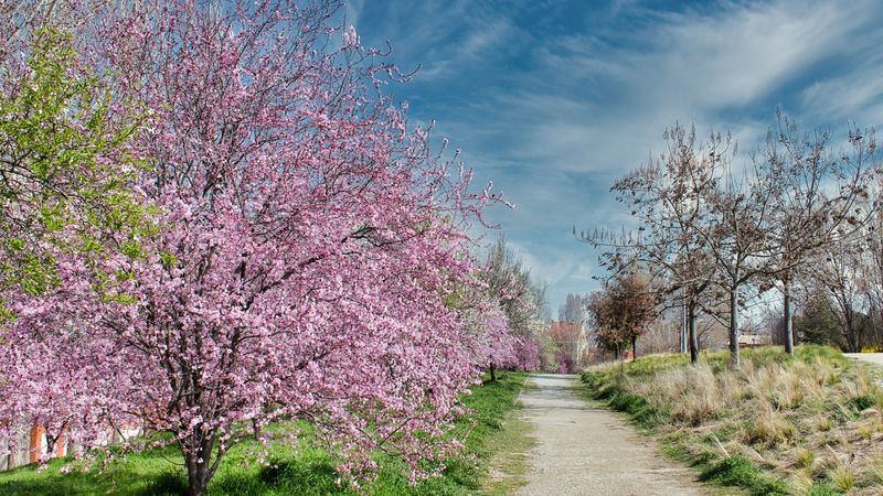 Accuweather anunță cum va fi vremea &icirc;n Rom&acirc;nia &icirc;n perioada 1-15 aprilie 2024: Meteorologii fac precizări importante