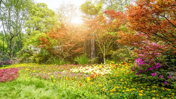 Cum va fi vremea de Florii &icirc;n 2024? Prognoza meteo