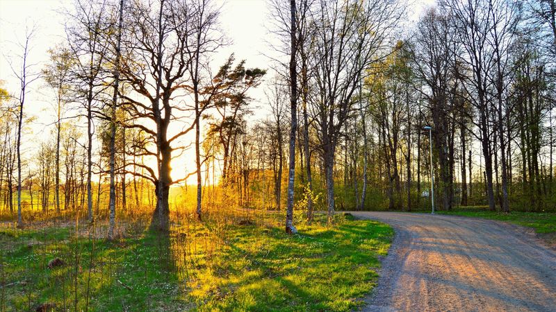 Cum va fi vremea de 1 Mai 2024? Prognoza meteo completă