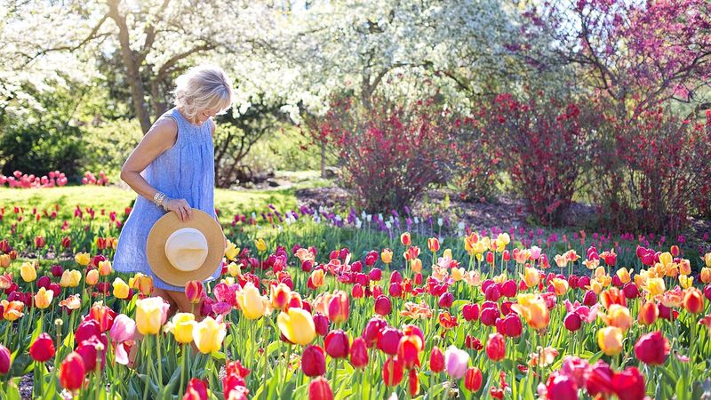 După v&acirc;ntul puternic de zilele trecute, AccuWeather anunță prognoza meteo pentru weekendul 6-7 aprilie 2024. Ce temperaturi vom avea?