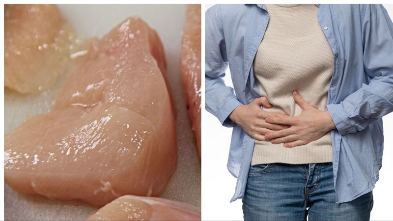 Cum recunoști infecția cu Salmonella: Principalele simptome