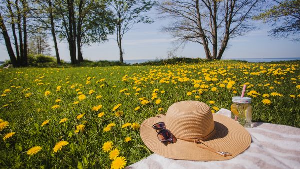 33 de grade in aprilie! Meteorologii ANM au emis noua prognoză valabilă pentru următoarele zile