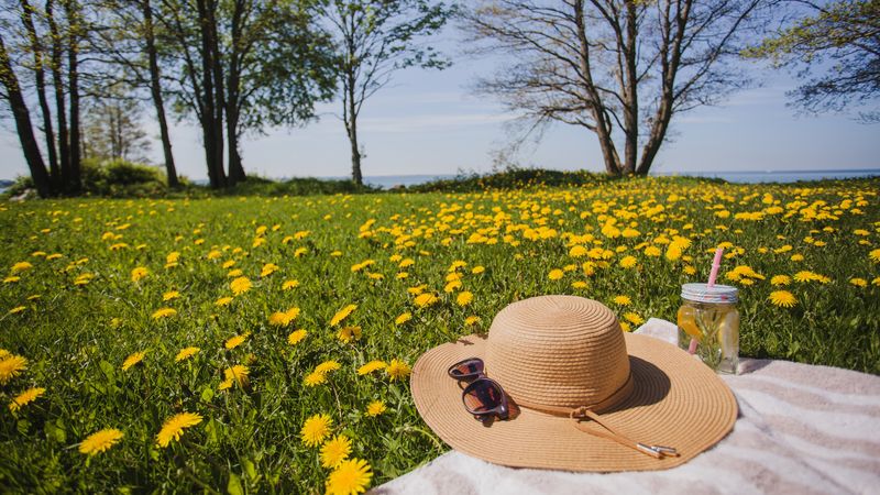 33 de grade in aprilie! Meteorologii ANM au emis noua prognoză valabilă pentru următoarele zile