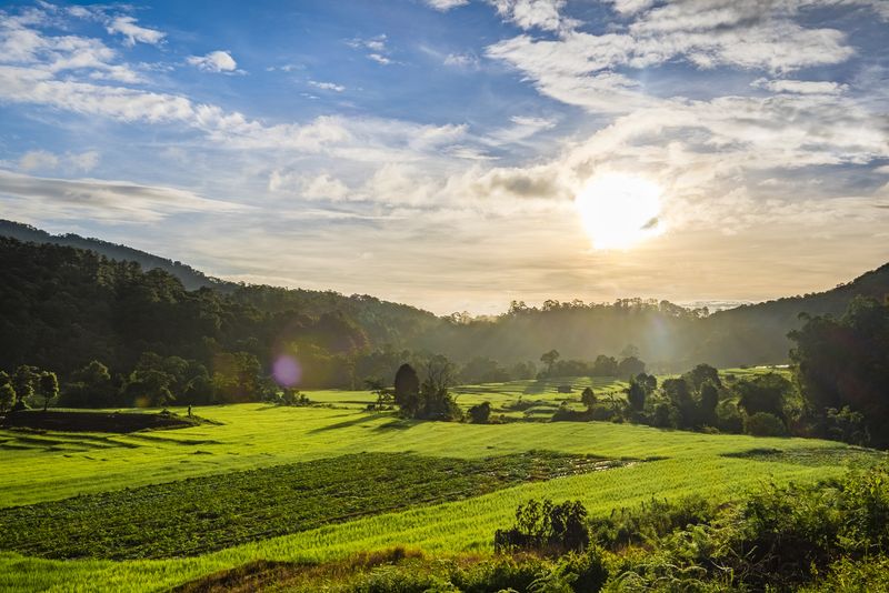 Cum va fi vremea în următoarea perioadă? 