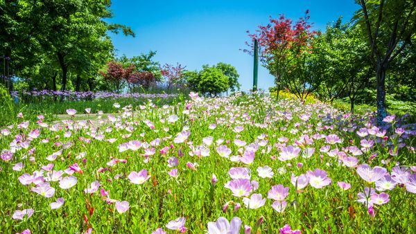 Prognoza meteo până la jumătatea lunii mai 2024: Cum va fi vremea de 1 Mai și de Paște?