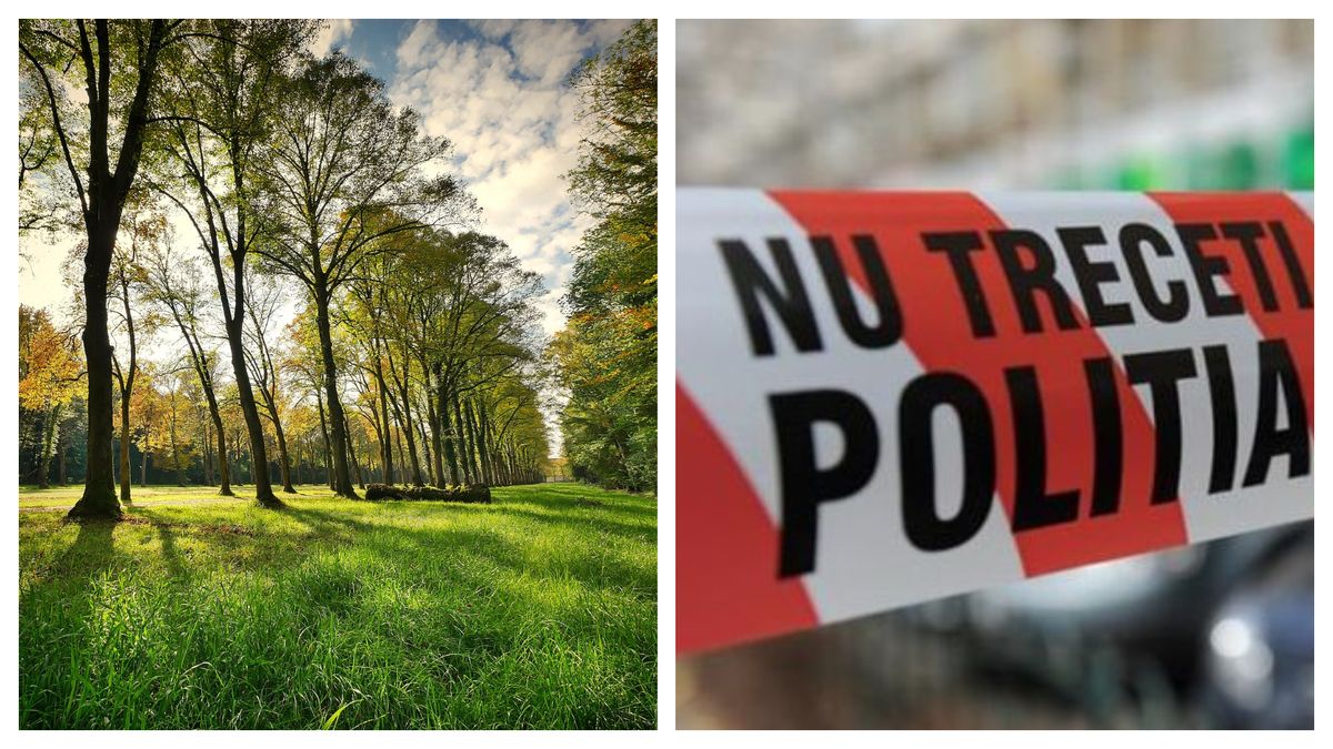 Descoperire macabră într-un parc din Bucuresti