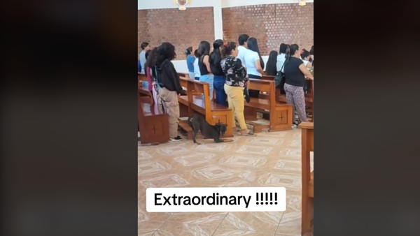 VIDEO. "Avem multe de învățat de la sufletele astea pure". Gestul făcut de un câine în biserică a făcut înconjurul lumii