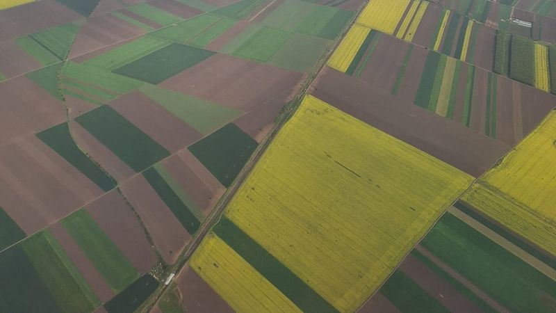 Au &icirc;nflorit lanurile de rapiță din jurul Bucureștiului! Imagini spectaculoase din avion. Sfaturi pentru a realiza cele mai frumoase poze pentru Instagram