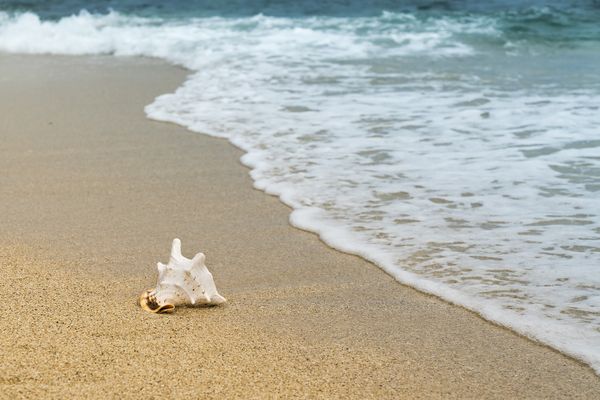 Este sau nu 2 mai 2024 zi liberă legală? Angajații din Rom&acirc;nia care vor avea parte de o mini-vacanța prelungită