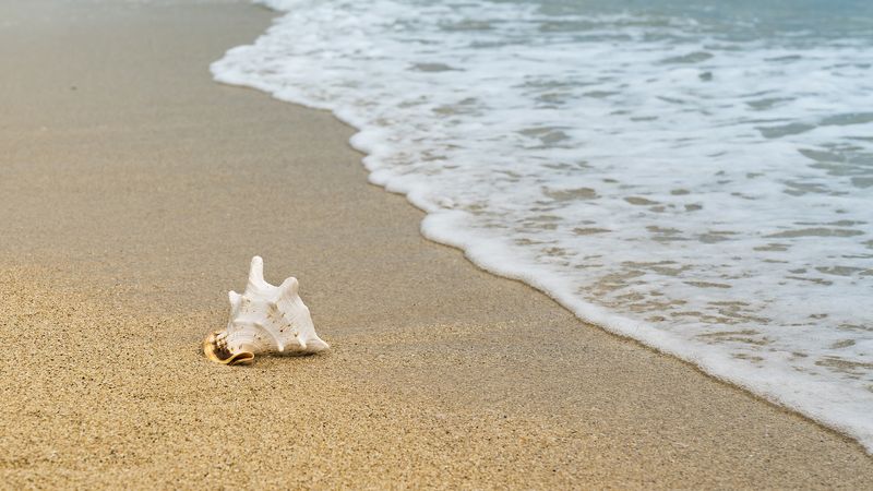Este sau nu 2 mai 2024 zi liberă legală? Angajații din Rom&acirc;nia care vor avea parte de o mini-vacanța prelungită