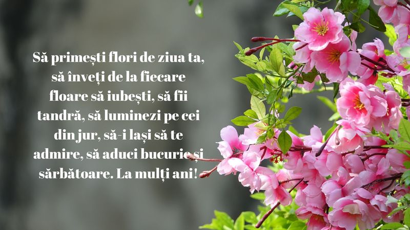 Felicitări pe care să le trimiți celor dragi de Florii 2024