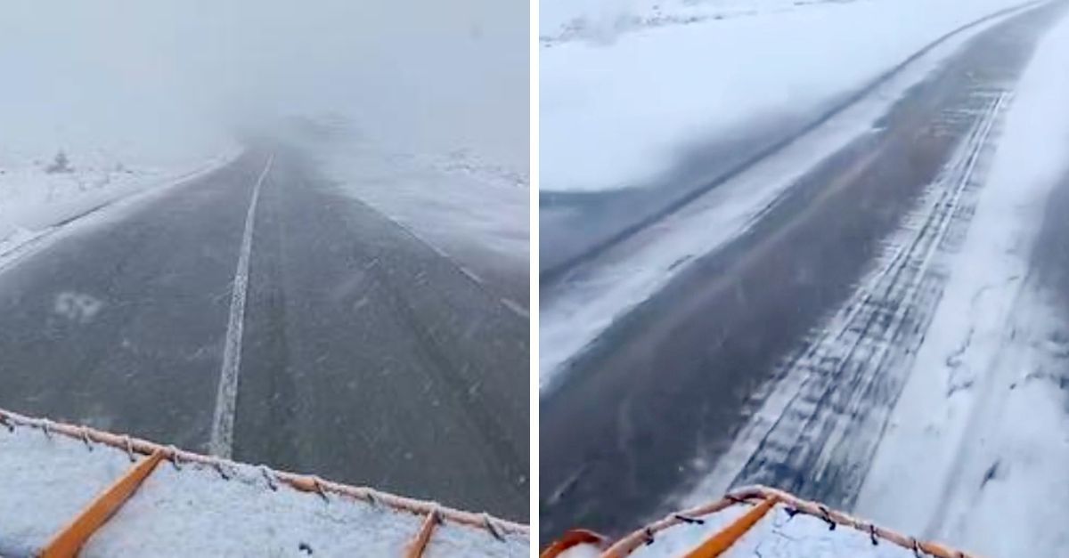 A nins pe Transalpina