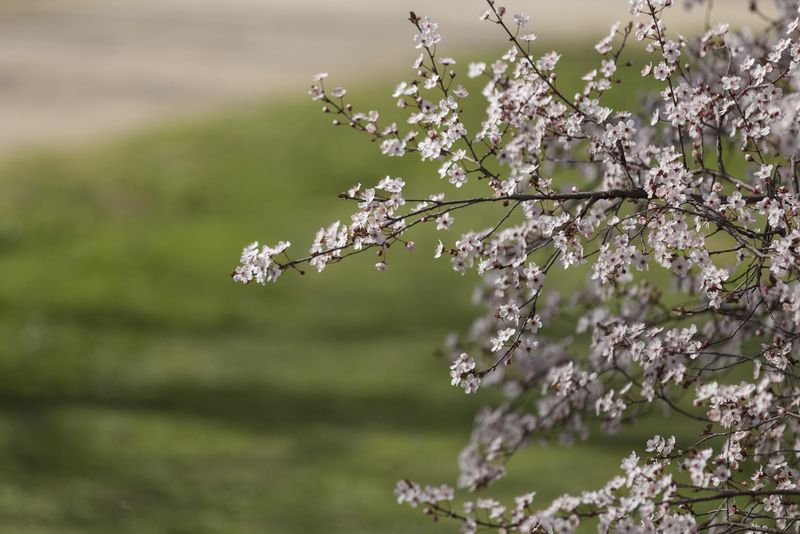 Prognoza meteo pentru luna mai 2024