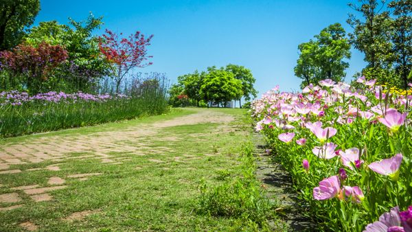 Meteorologii anunță prognoza meteo pentru luna mai 2024: Cum va fi vremea în următoarea perioadă?