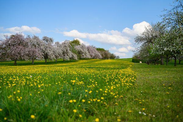 Prognoza meteo p&acirc;nă la finalul lunii mai 2024: Meteorologii anunță ploi și temperaturi scăzute