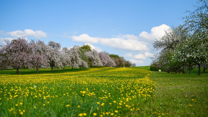 Prognoza meteo p&acirc;nă la finalul lunii mai 2024: Meteorologii anunță ploi și temperaturi scăzute