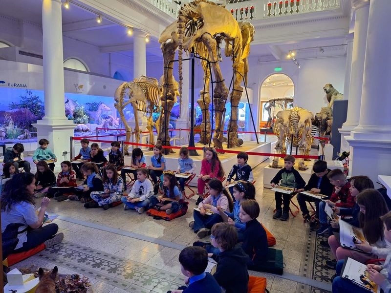 De ce Muzeul Antipa nu participă la Noaptea Muzeelor în 2024?