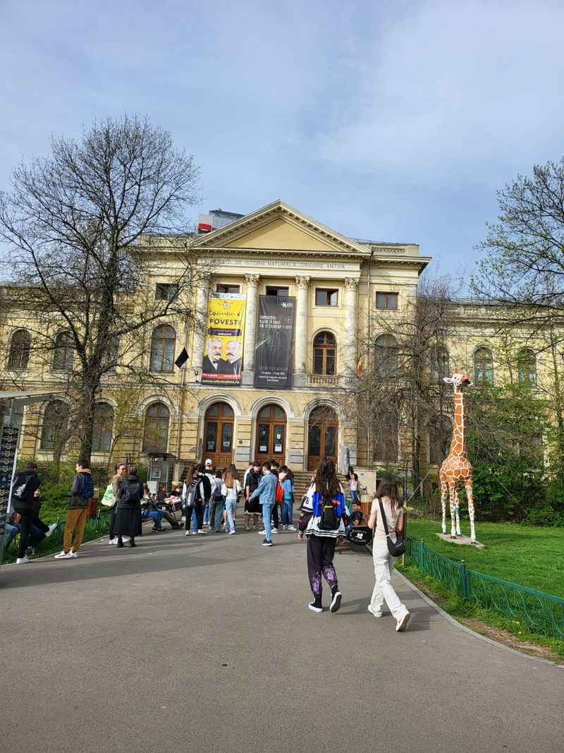 Muzeul Antipa nu participă la Noaptea Muzeelor 2024