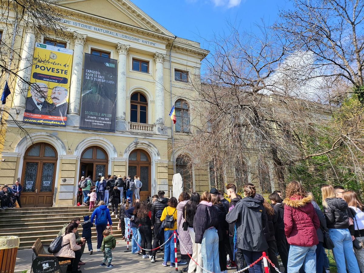 Motivul pentru care Muzeul Antipa nu participă la Noaptea Muzeelor în 2024