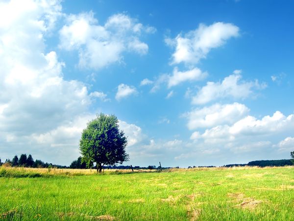 Cum va fi vremea &icirc;n ultimele două săptăm&acirc;ni din mai 2024? Meteorologii anunță temperaturi și cantități de precipitații apropiate de cele normale