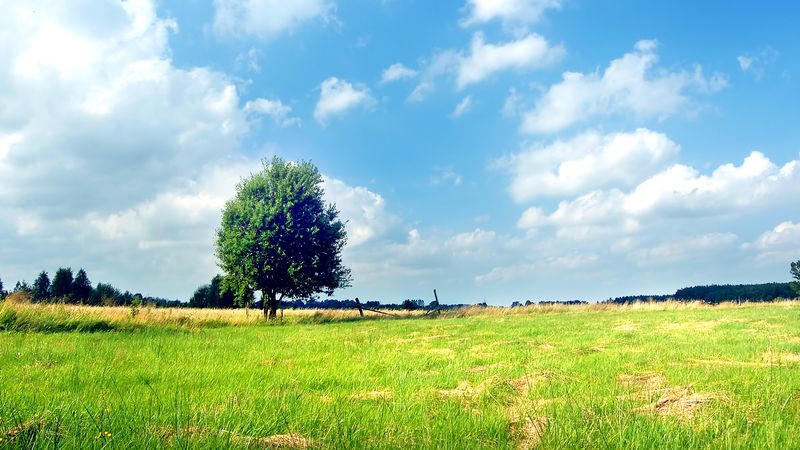 Cum va fi vremea &icirc;n ultimele două săptăm&acirc;ni din mai 2024? Meteorologii anunță temperaturi și cantități de precipitații apropiate de cele normale